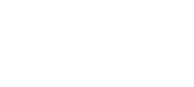 PNM Consultancy Services Logo white